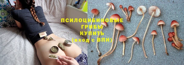 молекула духа Балабаново