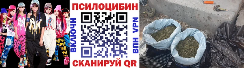Псилоцибиновые грибы MAGIC MUSHROOMS  Нововоронеж 